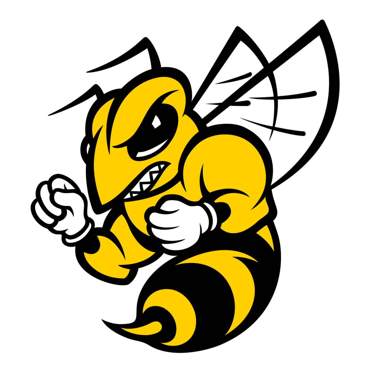 Randolph Macon College Cheer & Dance